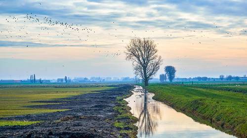 De vijf mooiste natuurroutes in eigen land