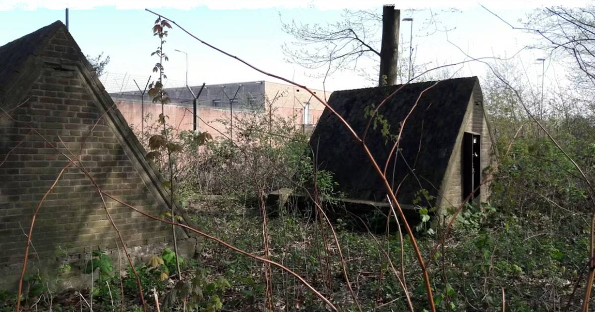 Duitse munitiebunkers uit de Tweede Wereldoorlog krijgen nieuwe plek in Soesterberg | Zeist