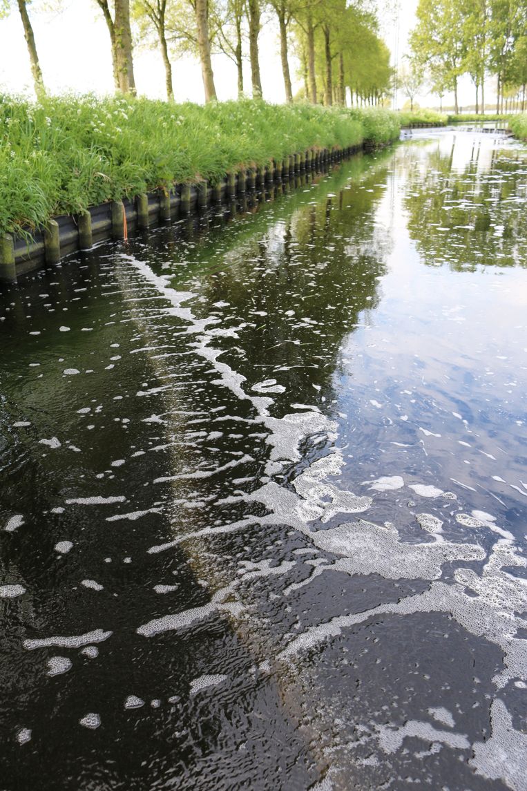 Test van het luchtbellenscherm bij de IJssel.  Beeld thegreatbubblebarrier