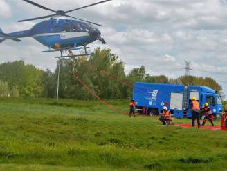 Spektakel in Polders van Kruibeke: Elia plaatst met helikopter bakens op hoogspanningslijnen. “90% minder kans dat vogel tegen kabel vliegt”