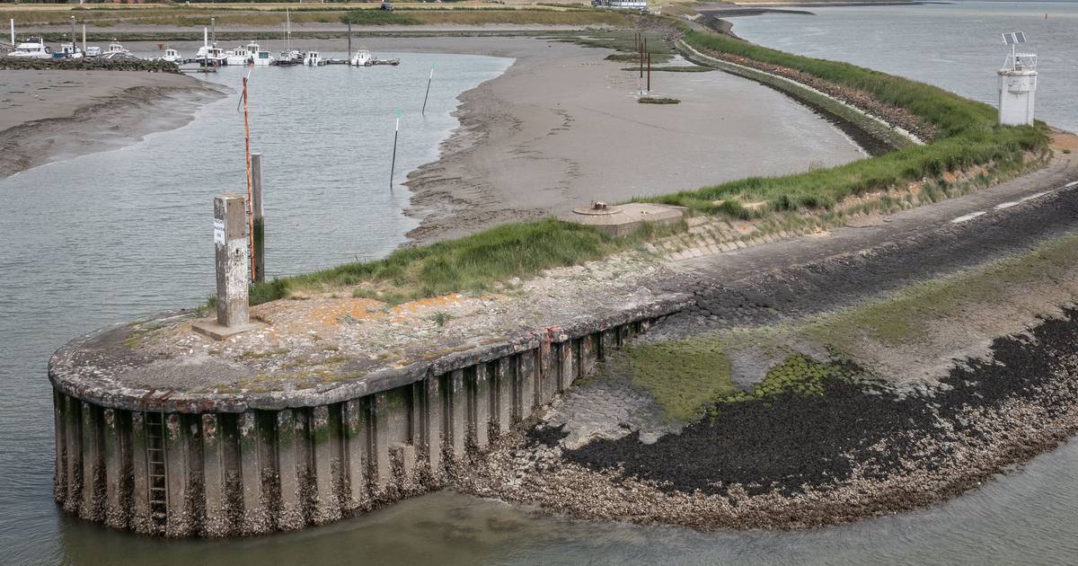 Strekdam bij haventje Hoedekenskerke moet snel aangepakt worden: ‘Voorkomen dat het instort’ | Borse