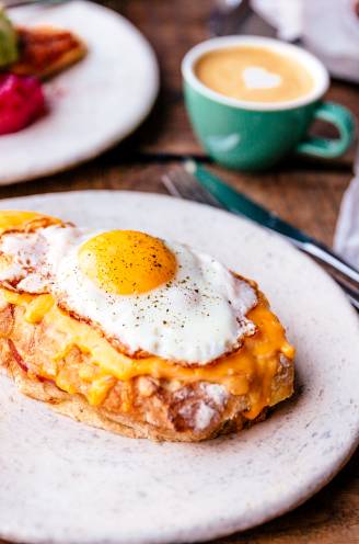 "Vul je kom met yoghurt en fruit en werk af met granola, niet andersom": diëtist bespreekt 7 ontbijten en duidt wat écht gezond is