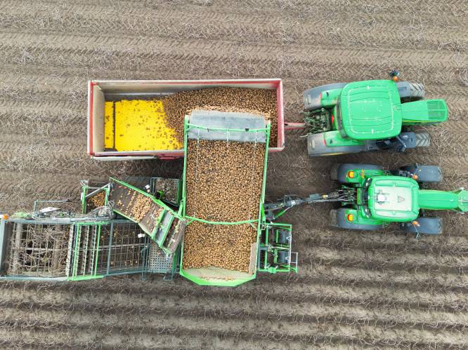‘Ik ben heel dom geweest’: on­der­ne­mer uit Barchem verkocht landbouwmachines die niet van hem waren