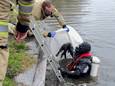 Een duiker van de brandweer haalt een door buurtbewoners gevonden kat uit het water. Ook deze kat was helaas overleden.