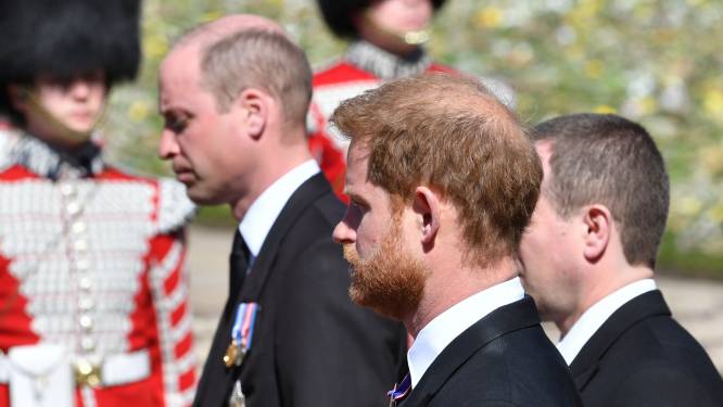 Prins Harry later terug naar VS: verzoening tussen royals?