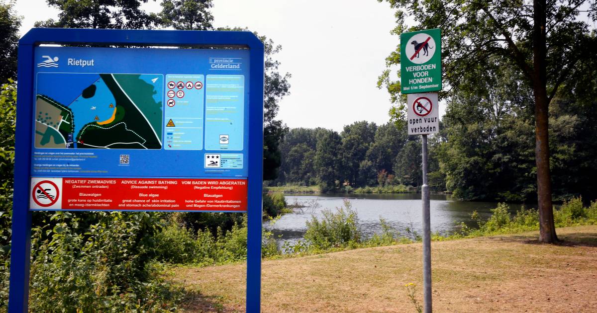 Heukelum decor voor televisieserie De Verschrikkelijke Jaren 80 | West Betuwe | gelderlander.nl - De