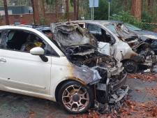 Drie auto's bij Visio De Blauwe Kamer Breda uitgebrand, directeur: ‘Ik geloof niet in toeval’