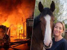 Hoe behandel je een paard dat een brand overleeft? ‘Dier kan het vreselijk benauwd hebben’