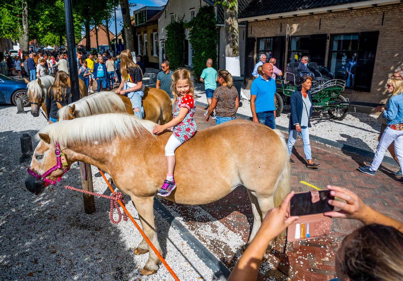 Paardenmarkt en wielerronde in Alblasserdam Foto AD.nl