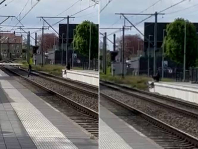 KIJK. Tienermeisjes lopen op sporen om selfie te maken in station van Veurne: “Hallucinante beelden”