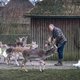 Het hertenkamp in Mijdrecht zal verdwijnen – tot ongenoegen van beheerder én buurtgenoten