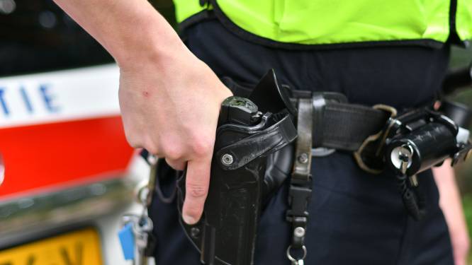 Politie schiet inbreker neer in Winterswijk