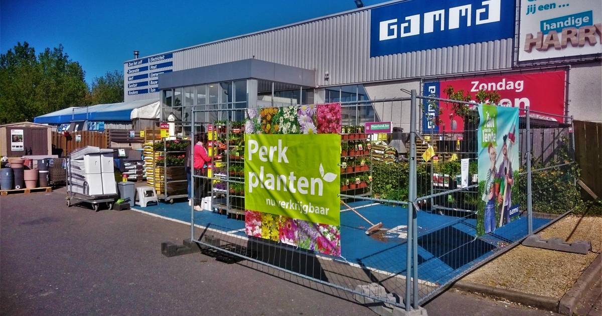Mindervalide boos op Gamma: rekken bezetten parkeerplaatsen | Oostende ...