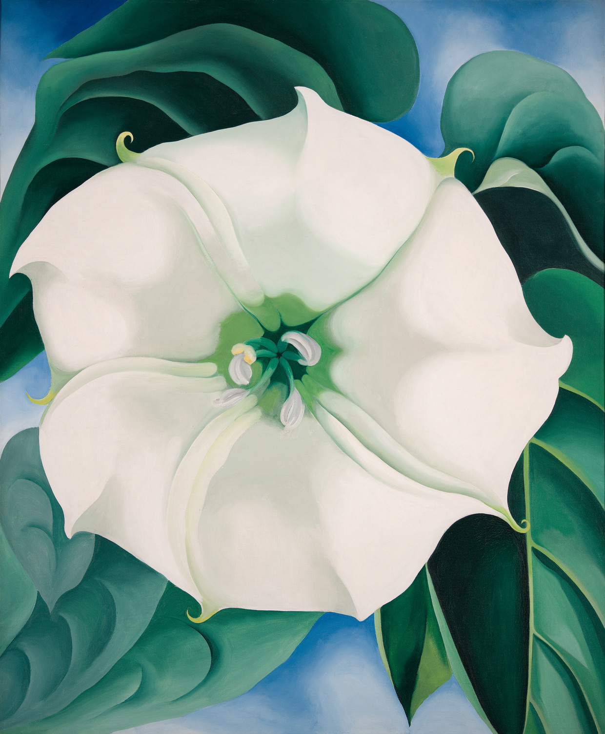 Georgia O’Keeffe, Jimson Weed / White Flower No. 1 (1932) 

 Beeld  Georgia O’Keeffe Museum / 2021, ProLitteris, ZurichPhoto: Edward C. Robison III. Crystal Bridges Museum of American Art.  Bentonville, Arkansas