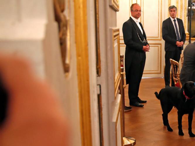 VIDEO: Macron adopteert labrador