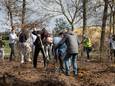 Teams van de Bergeijkse Kwis't planten bomen om de eerste punten te scoren.