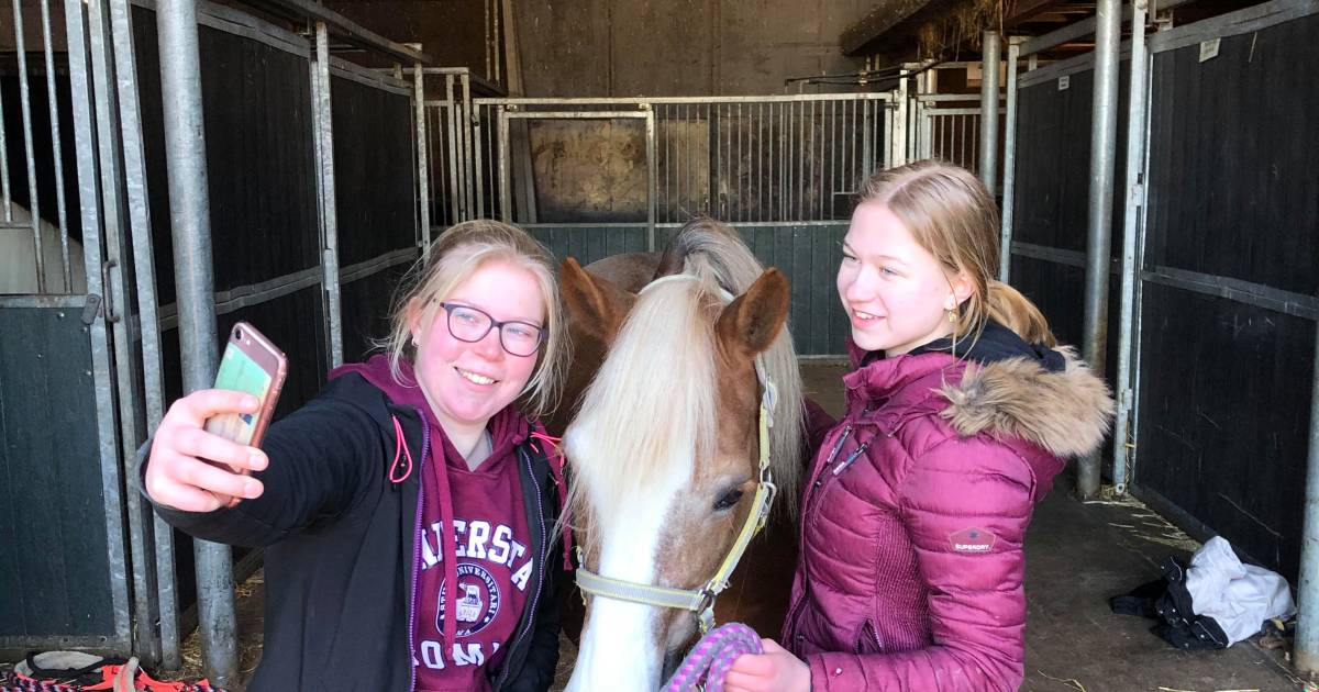 Manege Morgenstond Woerden live op Instagram: ‘Hoe gaat het met Magic?’