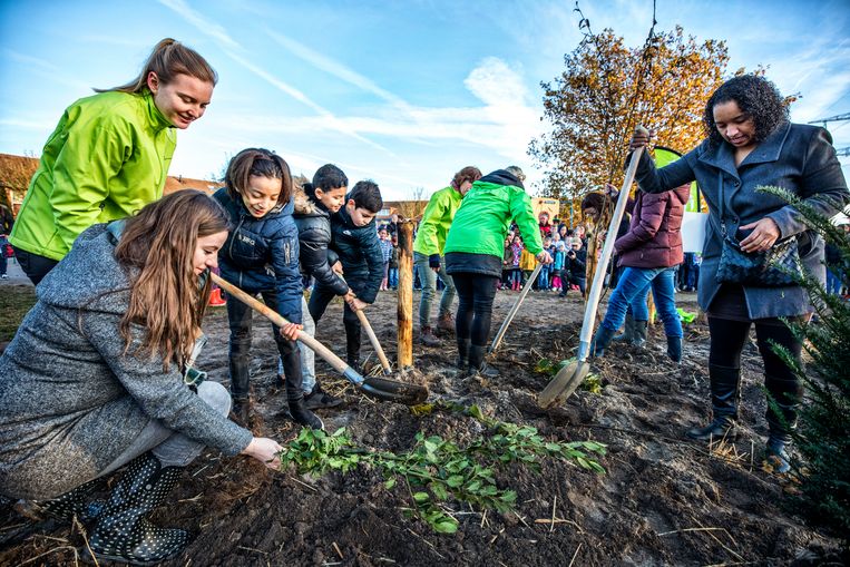 De eerste hand wordt gelegd aan de Tiny Forrest op het schoolplein van Basisschool de Optimist in Almere.  Beeld Raymond Rutting / de Volkskrant