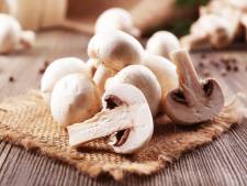 Champignons: zo zie je of ze nog eetbaar zijn