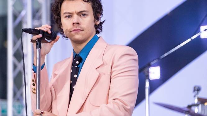Harry Styles-fan klaagt concertzaal aan nadat ze verpletterd werd tijdens één van zijn concerten 