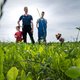 Minder droogte door kruiden tussen het boerengras: ‘Ik had nooit geleerd dat het ook zonder kunstmest kan’