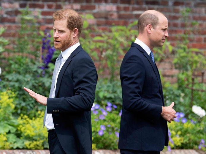 Prins Harry en prins William.