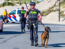 Groep van 15 mensen op de vuist bij strandtent in Hoek van Holland, politie massaal aanwezig