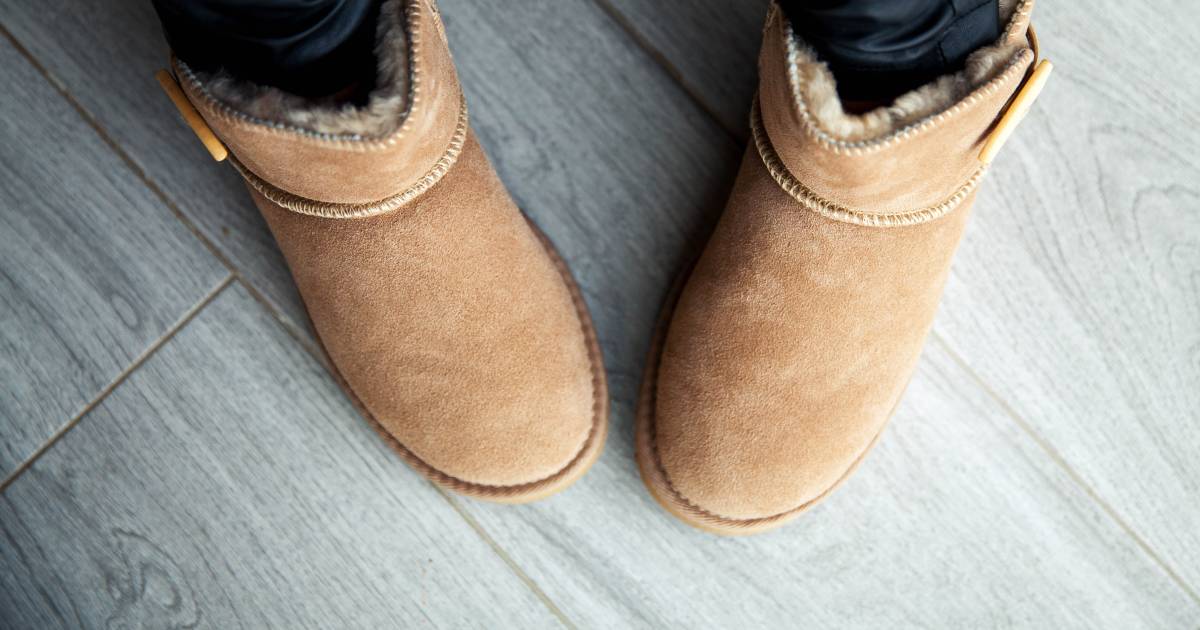 Wat zijn uggs best sale