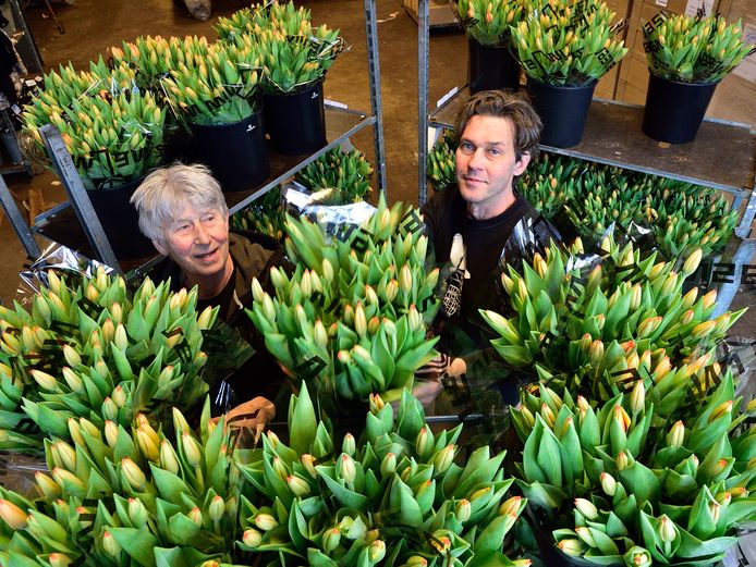 Bloemisten Wim (links) en Joris Jansen maken 200 boeketten bloemen voor Olympisch sporters die maandag terugkeren op Schiphol
