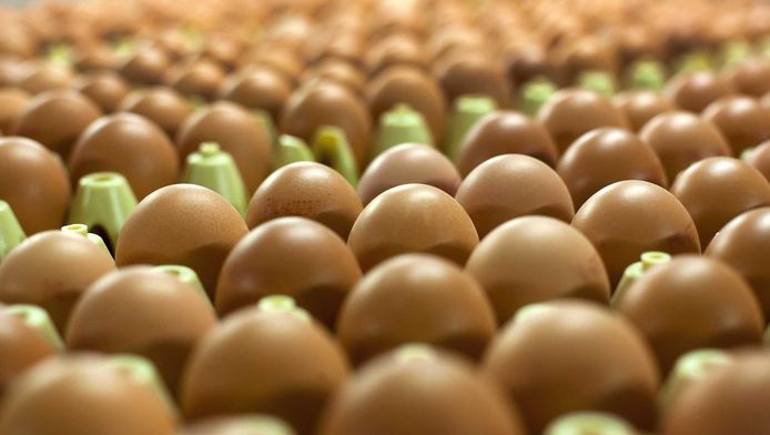 Een bewoner van het Haagse Statenkwartier zegt te lijden onder zijn buurman. Zo zou deze eieren gooien.