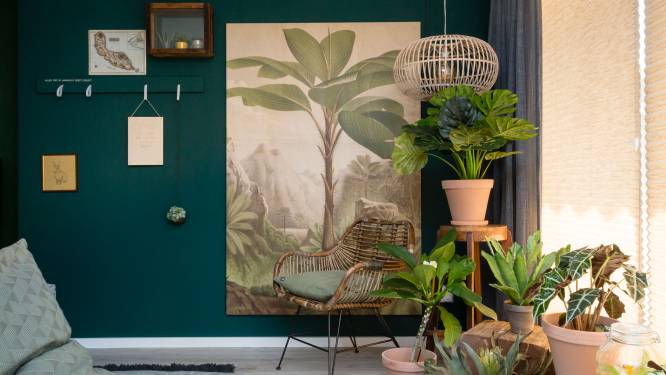 Dit zijn de 4 meest gemaakte fouten bij de verzorging van kamerplanten