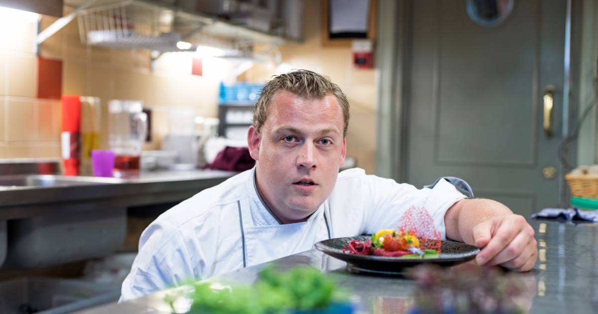 Zet bij De Korenbeurs in Geersdijk je tanden in een haai