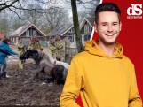 Lichaam gevonden bij Het Loo • Gevallen paard komt niet meer overeind