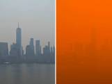 Timelapse toont hoe New York oranje kleurt door bosbranden