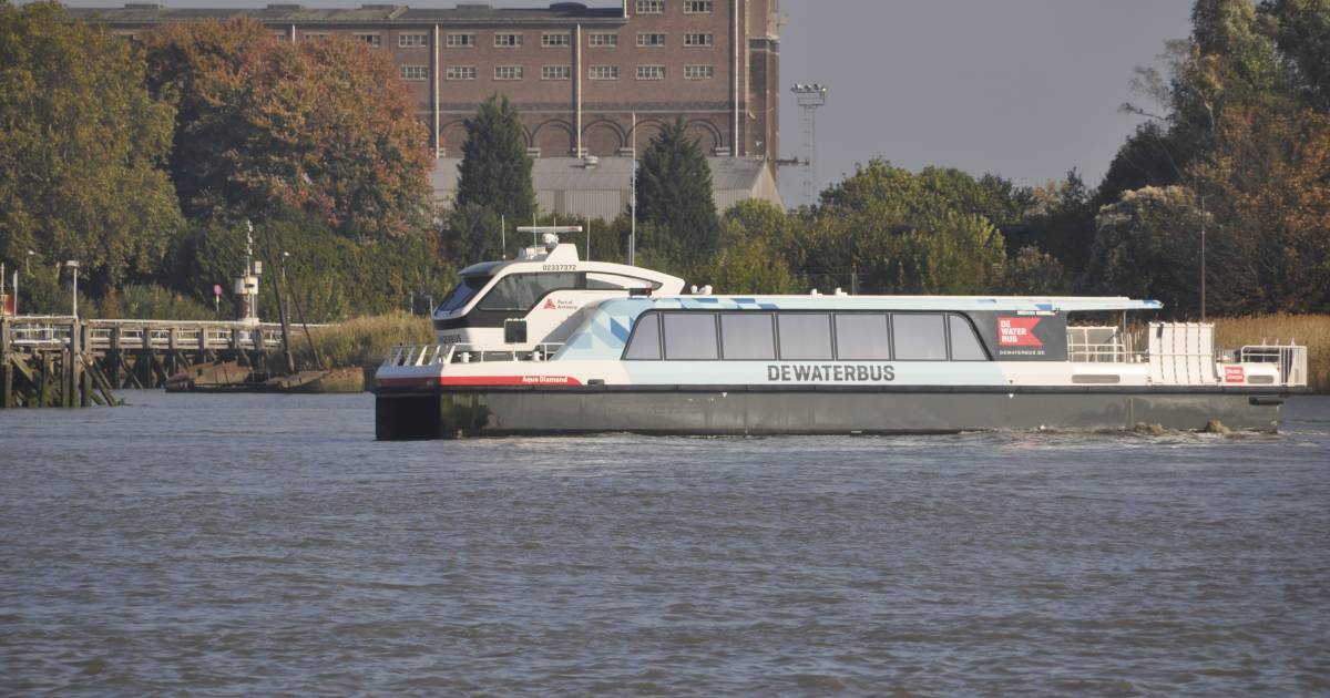 Waterbus Antwerpen breidt dienstregeling uit ZeeuwsVlaanderen pzc.nl