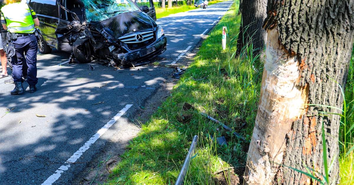 Bestelbus rijdt tegen boom op Kanaal Zuid in Loenen