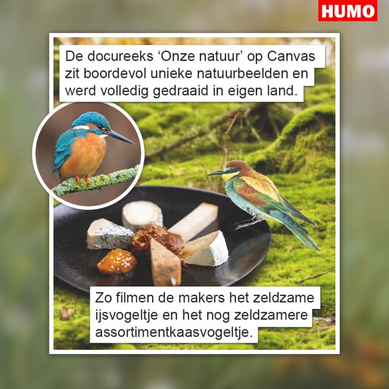 GVDW Beeld Het gat van de wereld