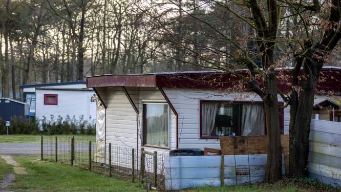Jacht op boef in vakantiepark