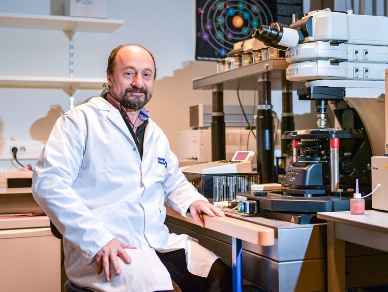 Prof. Bart De Strooper staat aan het hoofd van het Dementia Research Institute in Londen. Beeld Joel Hoylaerts - Photo News