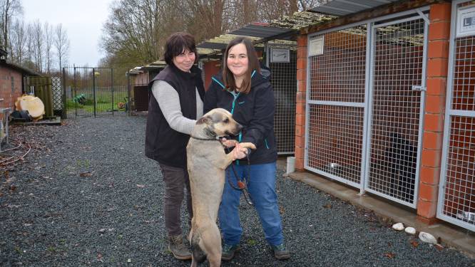 Discussie over één procent intrest op lening voor nieuw dierenasiel en toekomstige leningen aan verenigingen