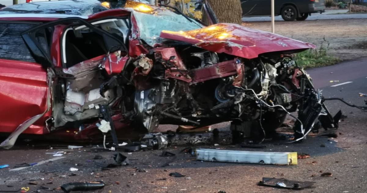 Automobilist gewond bij botsing tegen boom in Wageningen, Grintweg afgesloten.