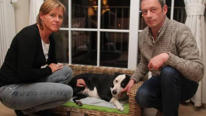 "Onze hond zakte gewoon in elkaar": Bordercollie Kaatie doodziek door vergiftigde vos