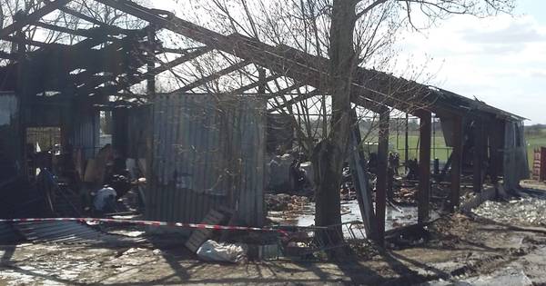 Xtc-lab ontploft in Poortvliet: 28 schapen overleden, duizenden liters drugsafval gevonden - BN DeSt