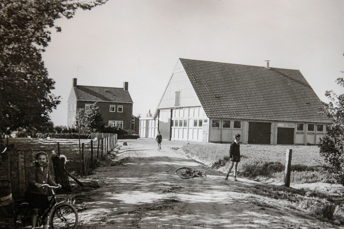 De boerderij van het gezin Steverink, begin jaren '60. Eigen foto