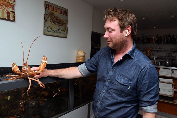 Zaakvoerder Philippe Walschaerts haalt Babette even uit haar aquarium voor de foto.