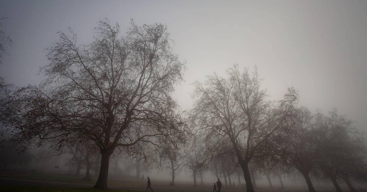 Weather report.  Once again, gray, cold, but dry weather, a chance of light snow in the Ardennes |  Science and the planet