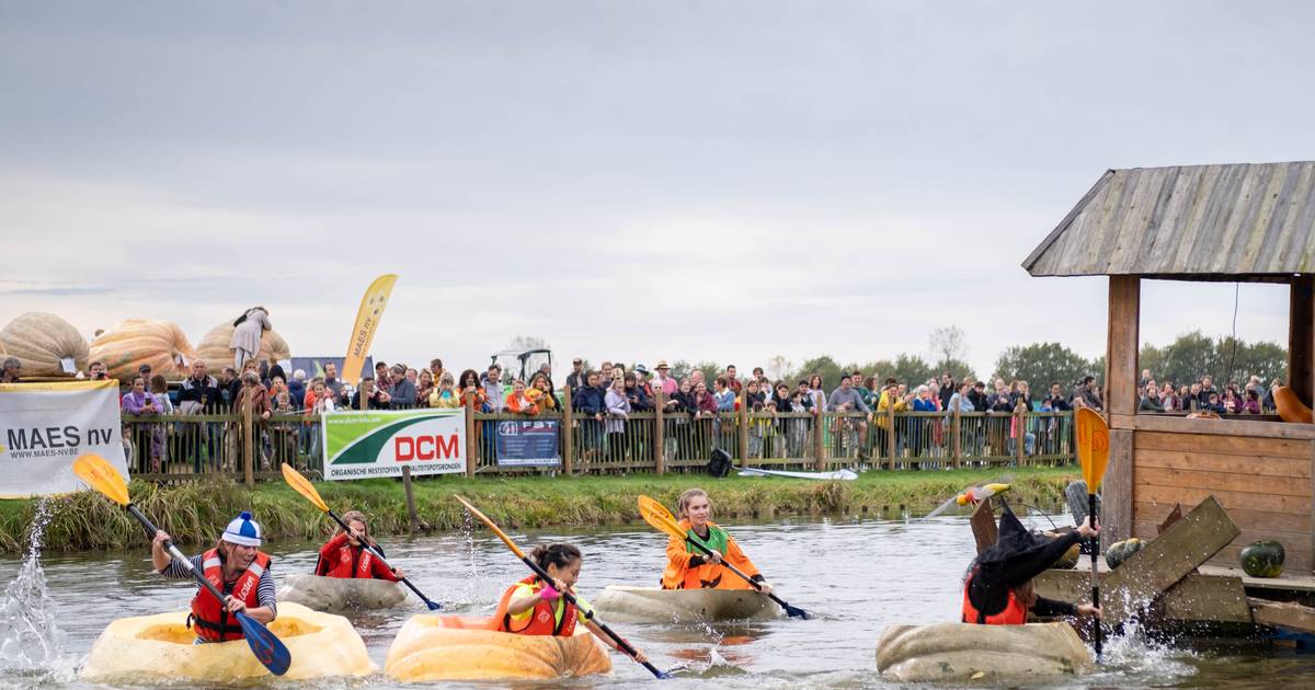 VIVRE.  Plusieurs milliers de visiteurs pour Pumpkin Regatta avec 65 équipes participantes : « Naviguer dans une citrouille, c’est assez fatiguant » |  Kasterlee