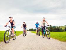 Groot deel verkeersdoden veroorzaakt door koppigheid: dit zijn de beste fietshelmen