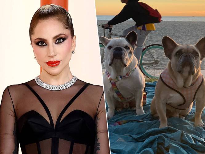 Lady Gaga weigert vindersloon voor gestolen honden te betalen en wil rechtszaak laten seponeren