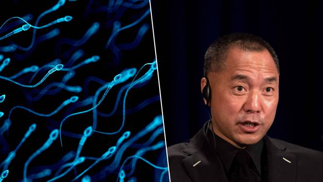 Des enchères de “sperme non-vacciné”, le projet fou d’un milliardaire chinois
